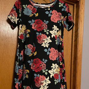 LulaRoe Jessie Dress